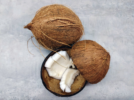Lactobacillus & Coconut Extract
